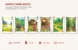 Majestic Vietnam - Sample Cards
